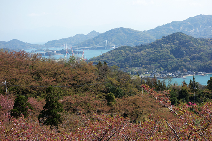 伯方島-大島大橋