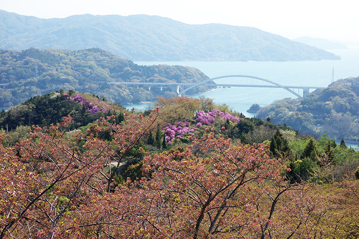 開山からのパノラマビューはおすすめ